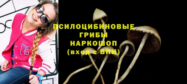 ешки Богородск