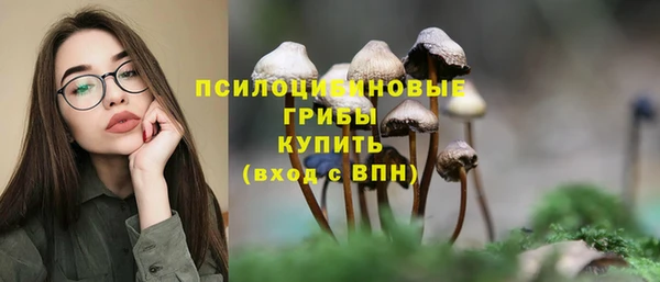 каннабис Богданович